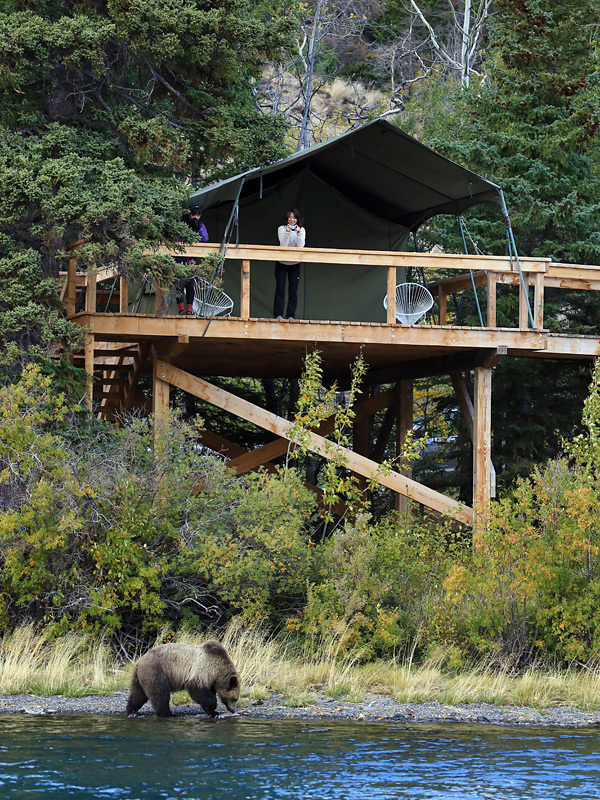 The Bear Camp Experience | What to Expect